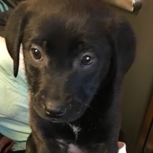 Meet your Posher, Cathy